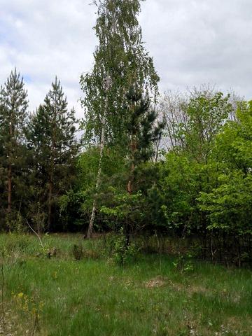 Забуччя, Бучанський, Київська область 115000 USD