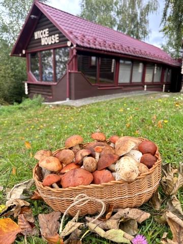 Центральна