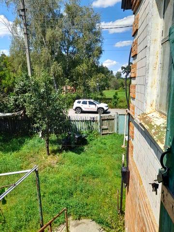 Будинок біля соснового лісу в Клюсівці