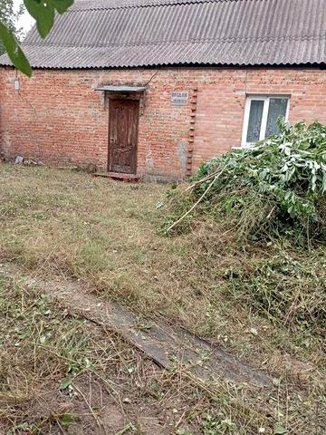 Продам будинок з земельною ділянкою