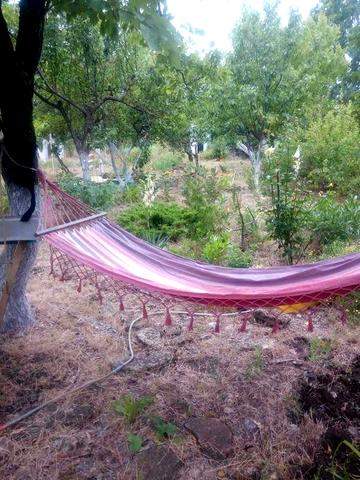 Літній.  Дачний будинок на  Тилігульському лимані.