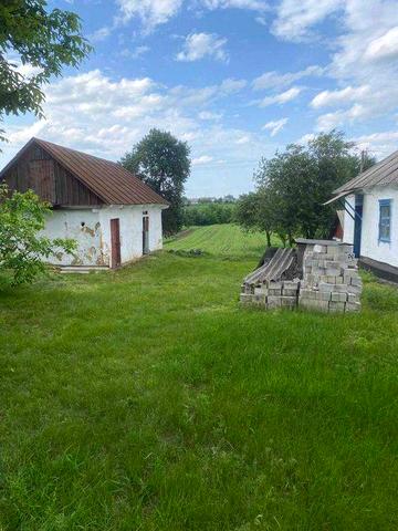 Продам будинок із землею в селі Острів Білоцерківський район