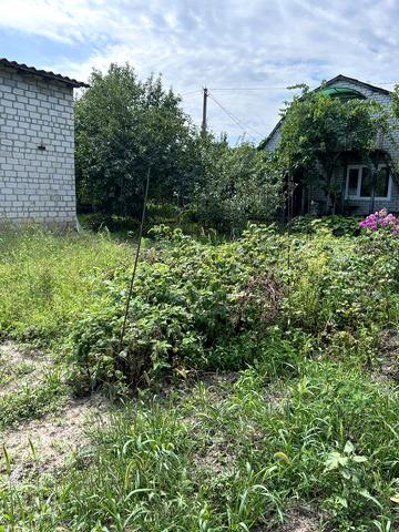 Дача, дачна ділянка Аромат