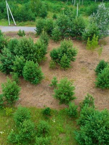 Ясногородка, Вишгородський, Київська область 14999 USD