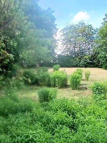 Горбовичі, Бучанський, Київська область 15000 USD