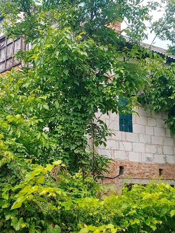 НЕРУХОМІСТЬ від ОЛЕКСАНДРА! Дача масив Кам"яногірський