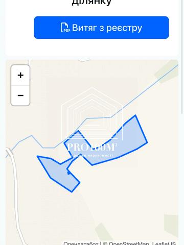 Свалява, Мукачівський, Закарпатська область 575000 USD