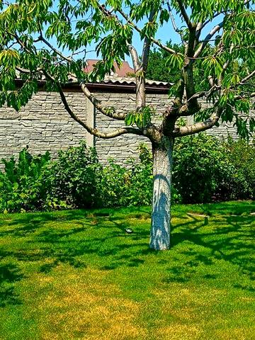 Продаж 4к Дім Зарічна вулиця