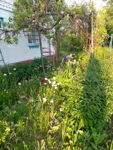 Продам 1/2 частину будинку - дуплекс! Готовий до заселення! Укриття є!