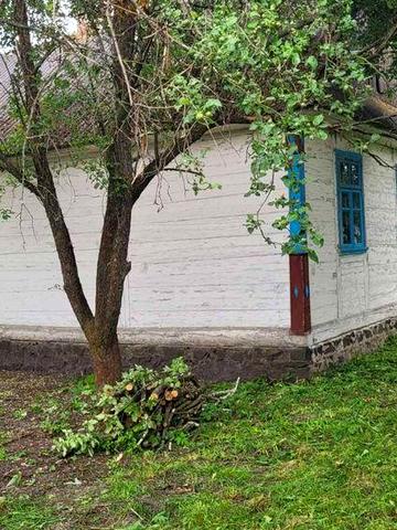 Продам  будинок в тихому селі