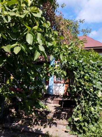 Дом в с. Носачово