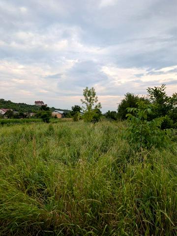 Лісова вул.