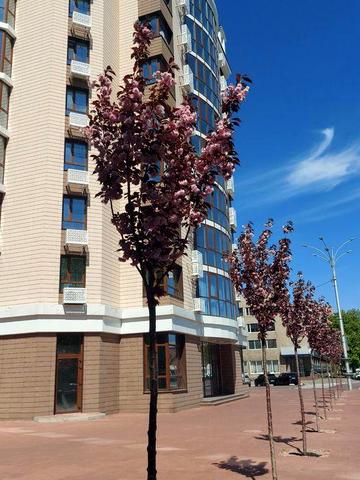 Продам 3-х кімнатну квартиру з ремонтом в елітній новобудові ЖК City Park