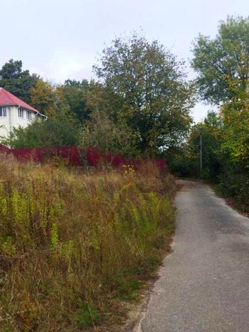 Центральна