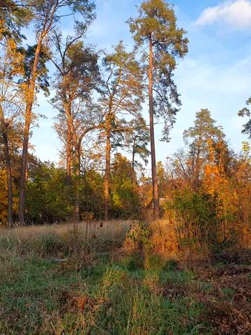 Вишеньки, Бориспільський, Київська область 28000 USD