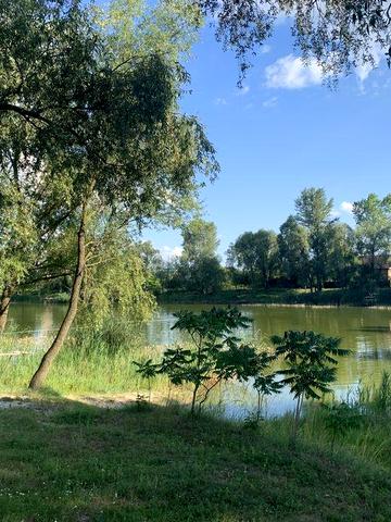 Продам ділянку 6 соток з будинком, с.Артемівка (СТ Агро).