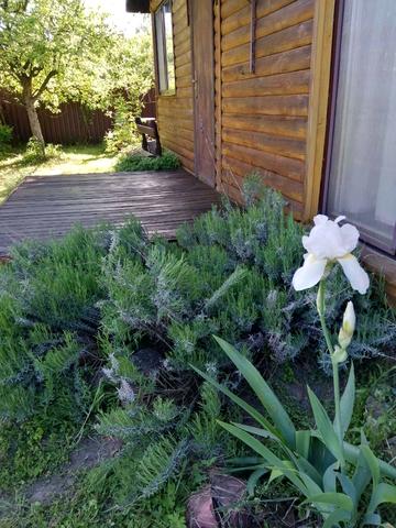 Петра Сагайдачного вул.