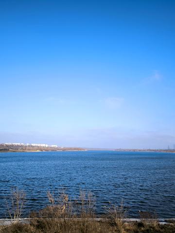 Виноградна