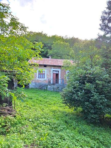 Дачний будинок с. Гологірки. Потребує незначного ремонту.