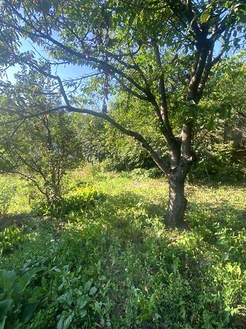 Продаж 4к Дім Лісова вулиця