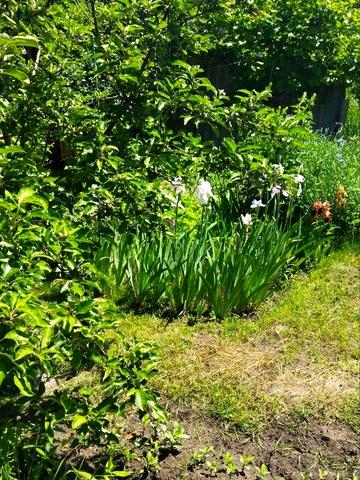 Перемоги, 10