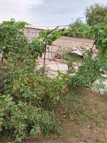 Продажа дома Любарці