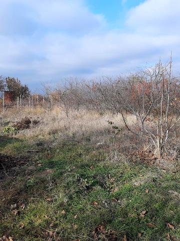 Со Приморский