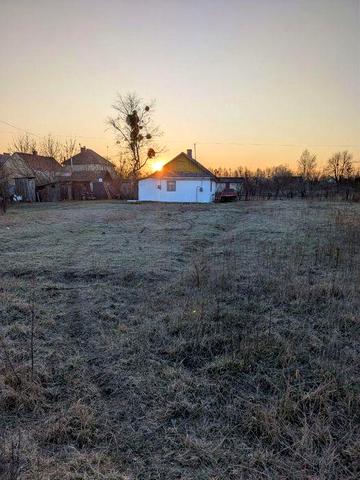 Будинок у Соколиних Горах