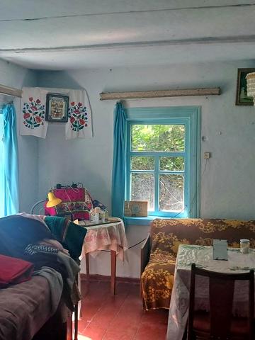 центральна