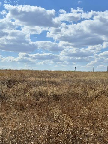 трасса Сухий Лиман