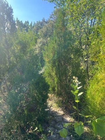 Продам дачу РТС в черте города отличное место