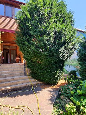 Тіниста вул., 16