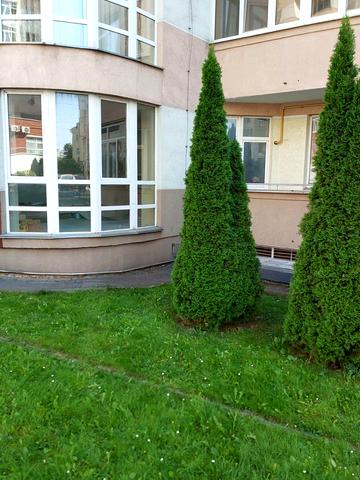 Вячеслава Чорновола просп. (), 67в