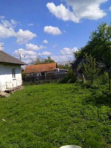 Продаж 4к Дім Зелена