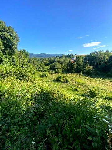 Ужанська вул. (Червоноармійська)