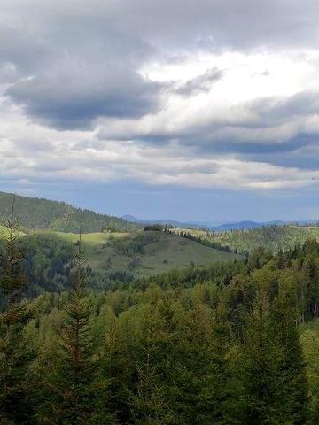 Гринява, Верховинський, Івано-Франківська область 21000 USD