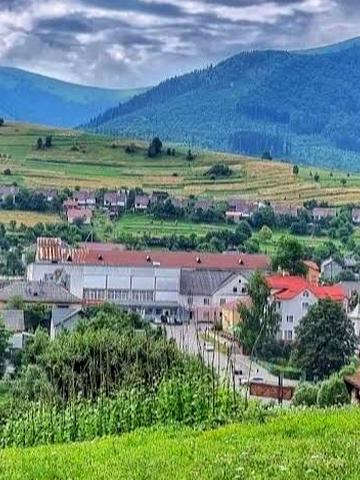 уренгойська