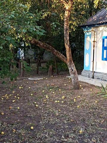 Будинок у місті Хорол