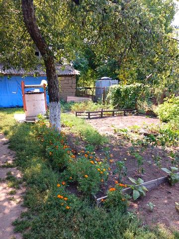 Продам дім у селі