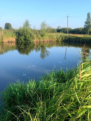 Будинок Ємільчине