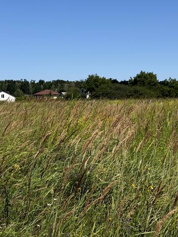 Сулимівка, Бориспільський, Київська область 7500 USD