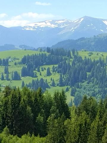 Верховина, Верховинський, Івано-Франківська область 96000 USD