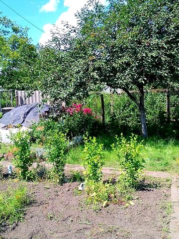 Дача в межах міста ,кооператив "Автотранспортник"(4 гараж.кооп)