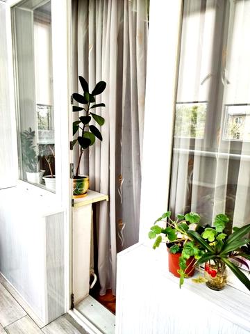 Франтішка Крала вул., 31