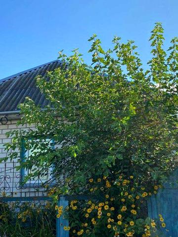 продаж будинку та земельної ділянки