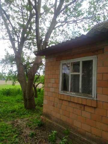 Продам будинок с.Горове, 10 км від міста Ромни