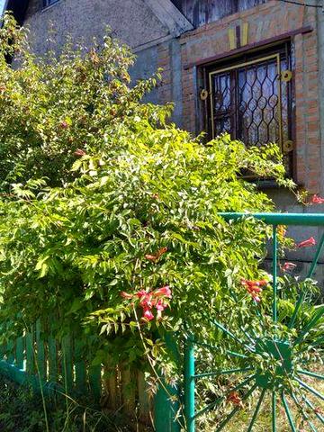 Затишне тихе місце. Своя дача.