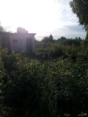 Продам дачу в Солоницевке