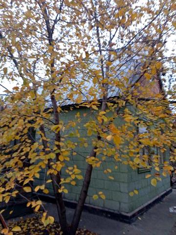 Продається дача в Тарамском