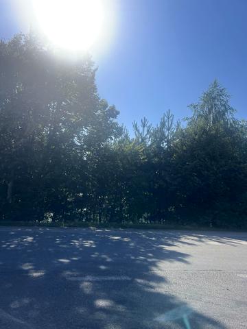 Дмитра Яворницького вул.